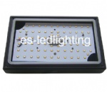 10W LED Wall Light with Motion and Light Sensors